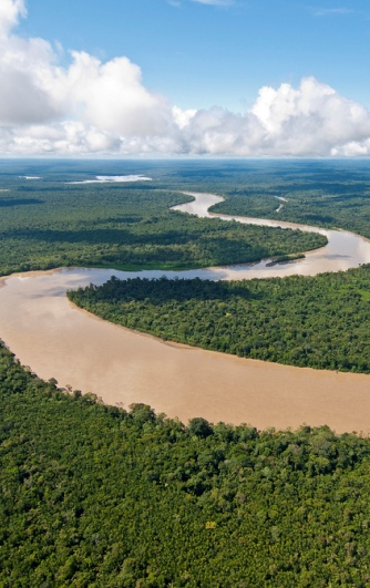 Amazon Rainforest