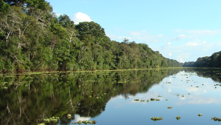 Iquitos river